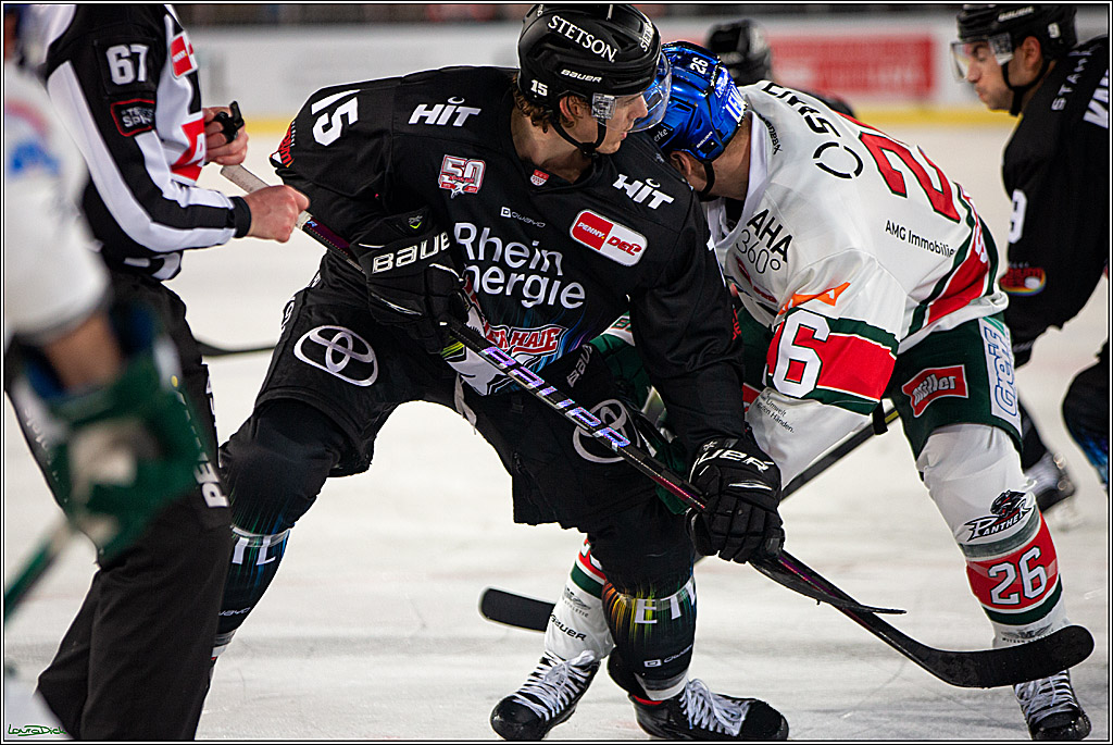 PENNY DEL; Koelner Haie- Augsburger Panther; Koeln, 08.01.2023